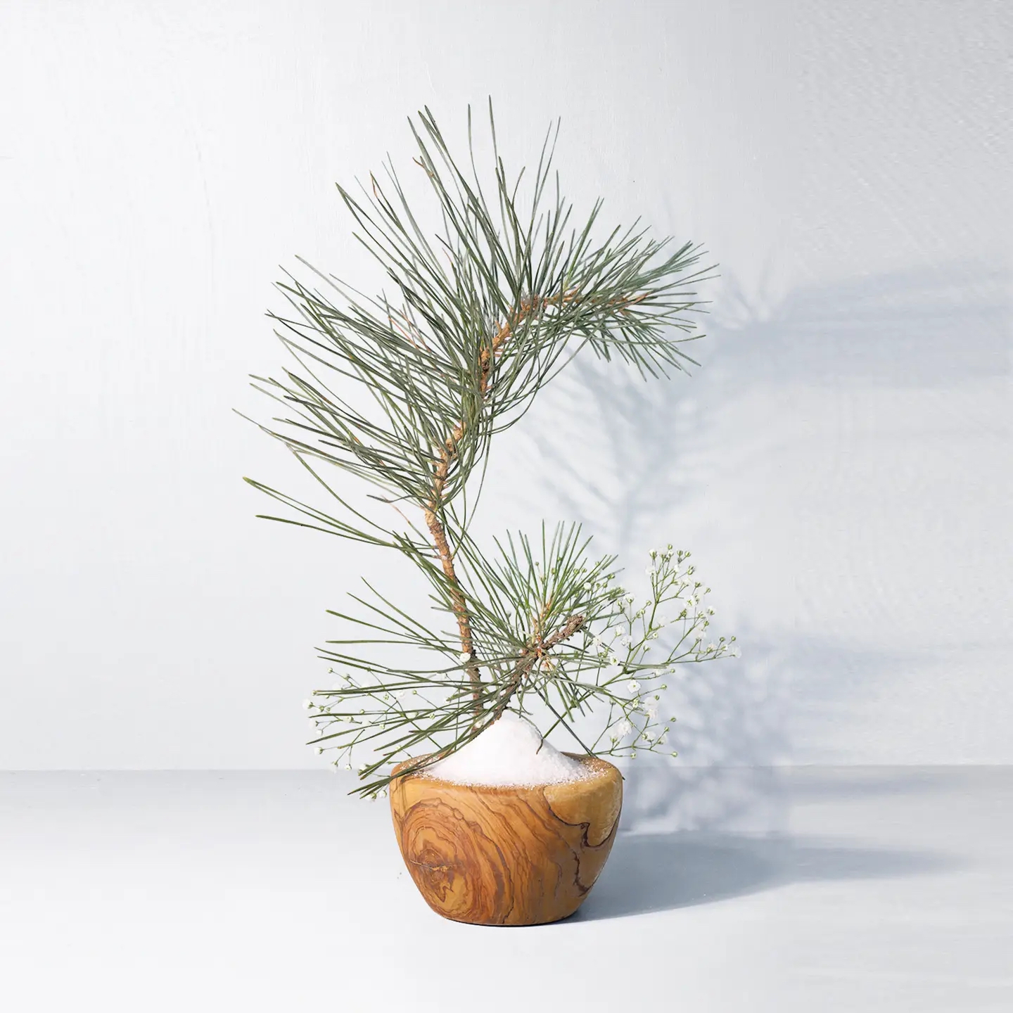 Air Fragrance Cards | Pack of 2 - Image 2