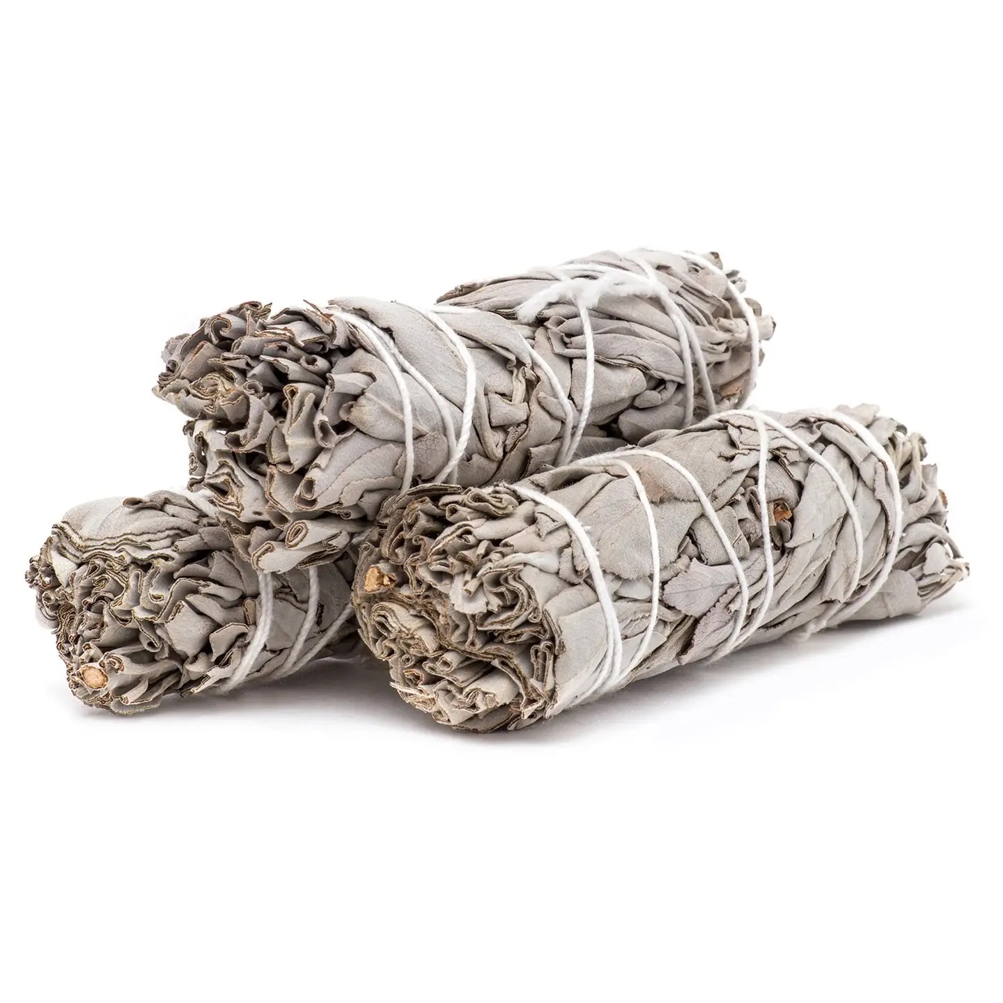 California White Sage Smudge Bundle | 3"-5" Wild Sage