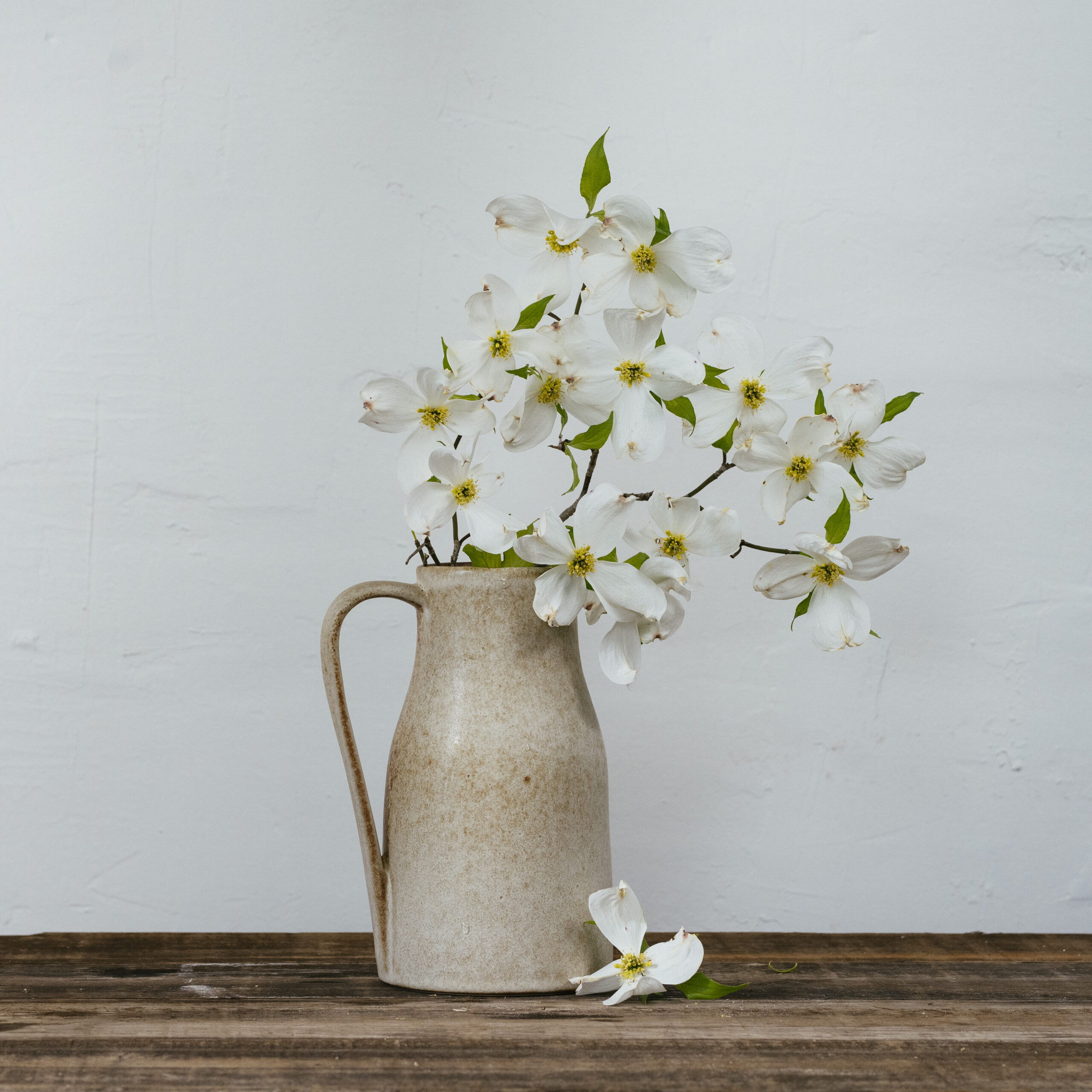 Egg Back Home Beige Toasted Pitcher