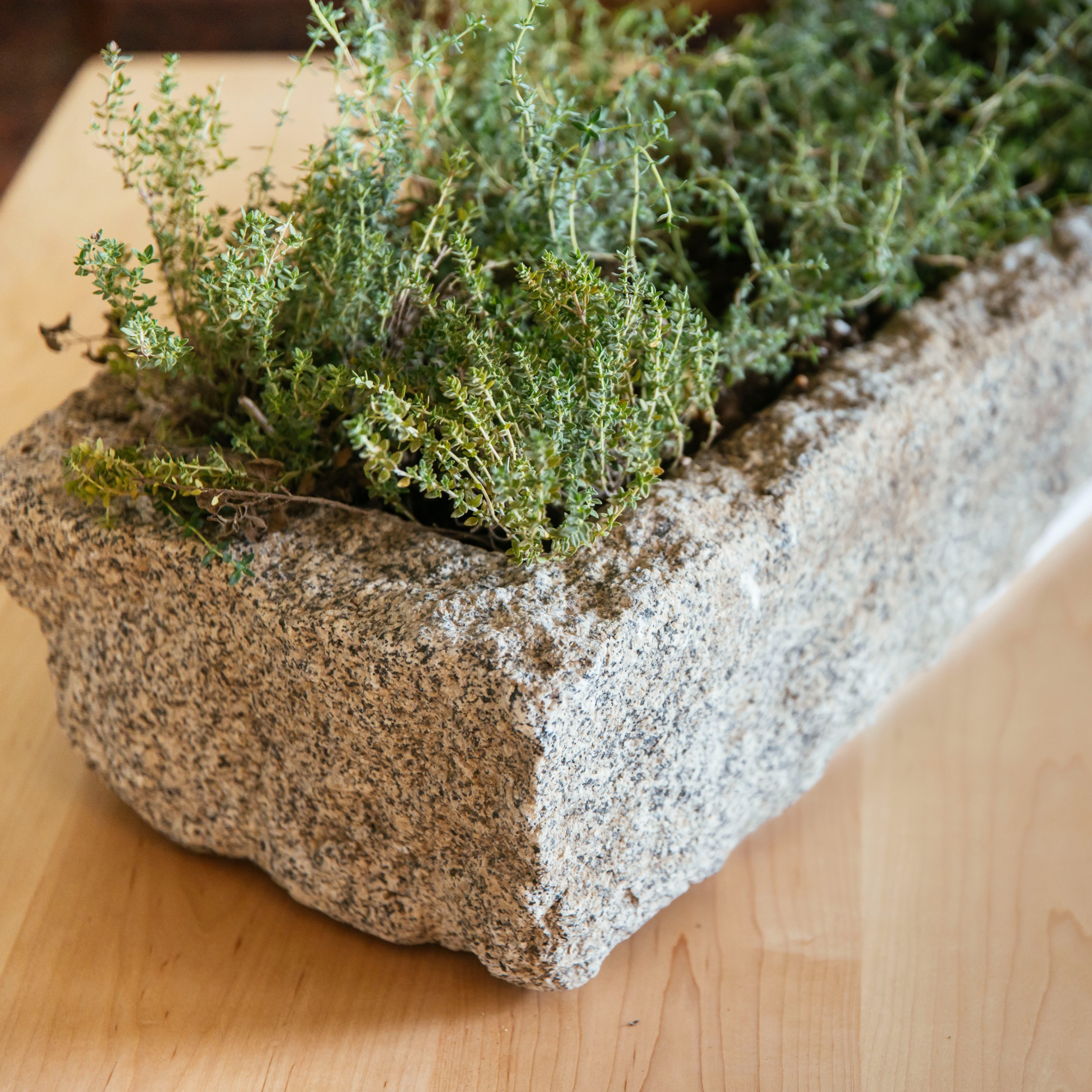 VTG- Mongolian Trough